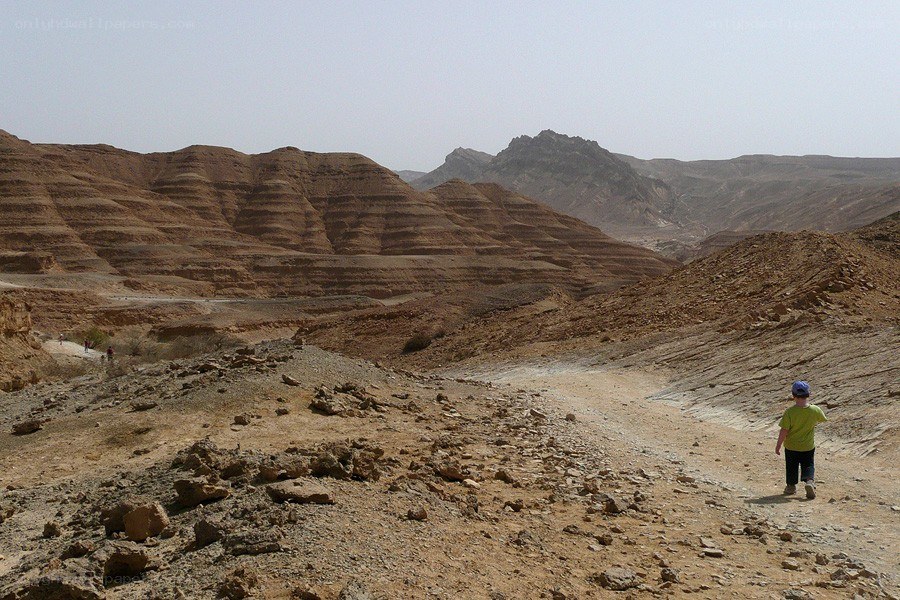 Child walking in desert canyon