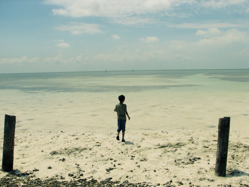 Child walking on a beach