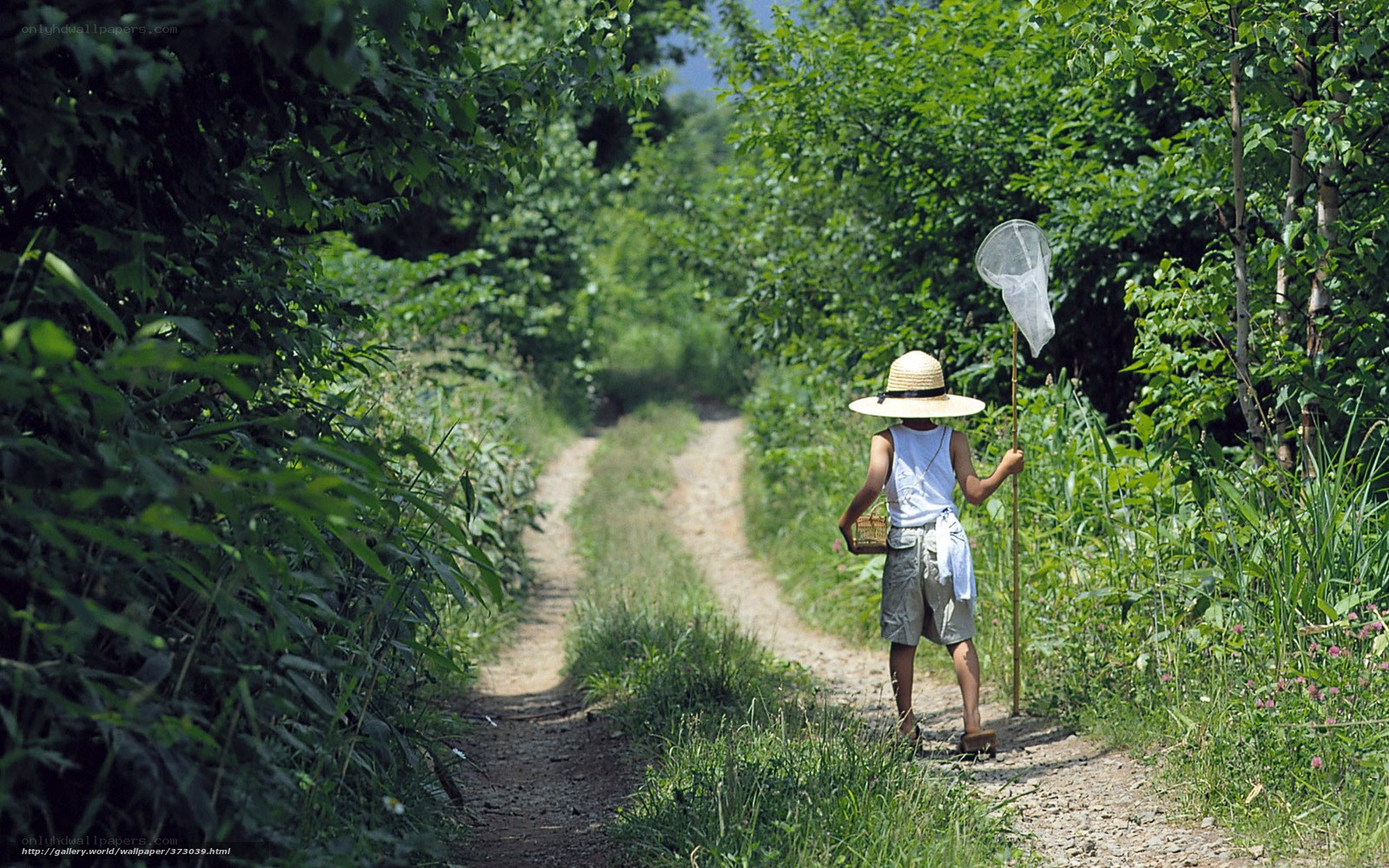 Child walking on a dirt path