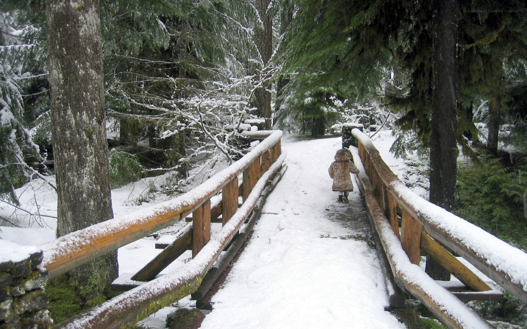 Child walking on snowy bridge