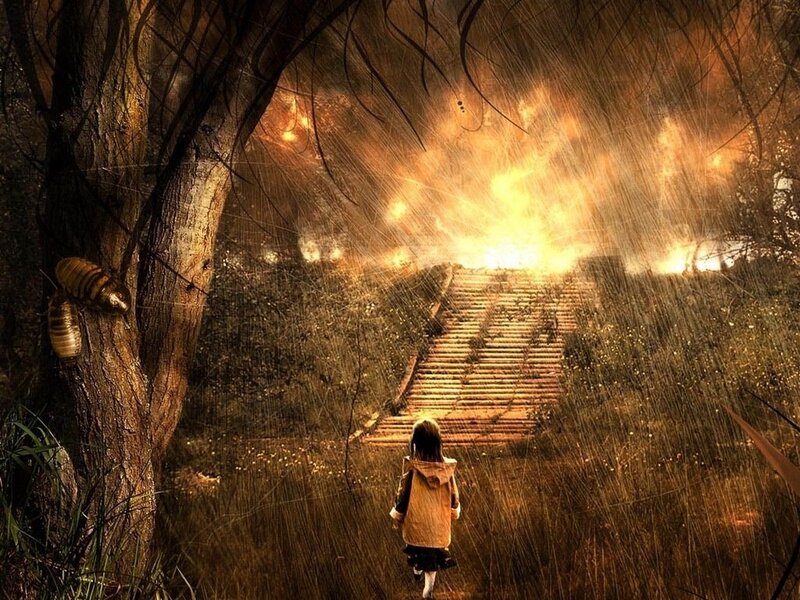 Child Walking on Stairs
