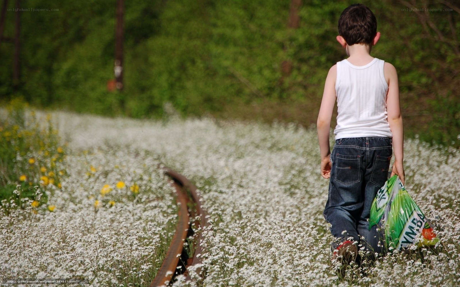 child walking through wildflowers