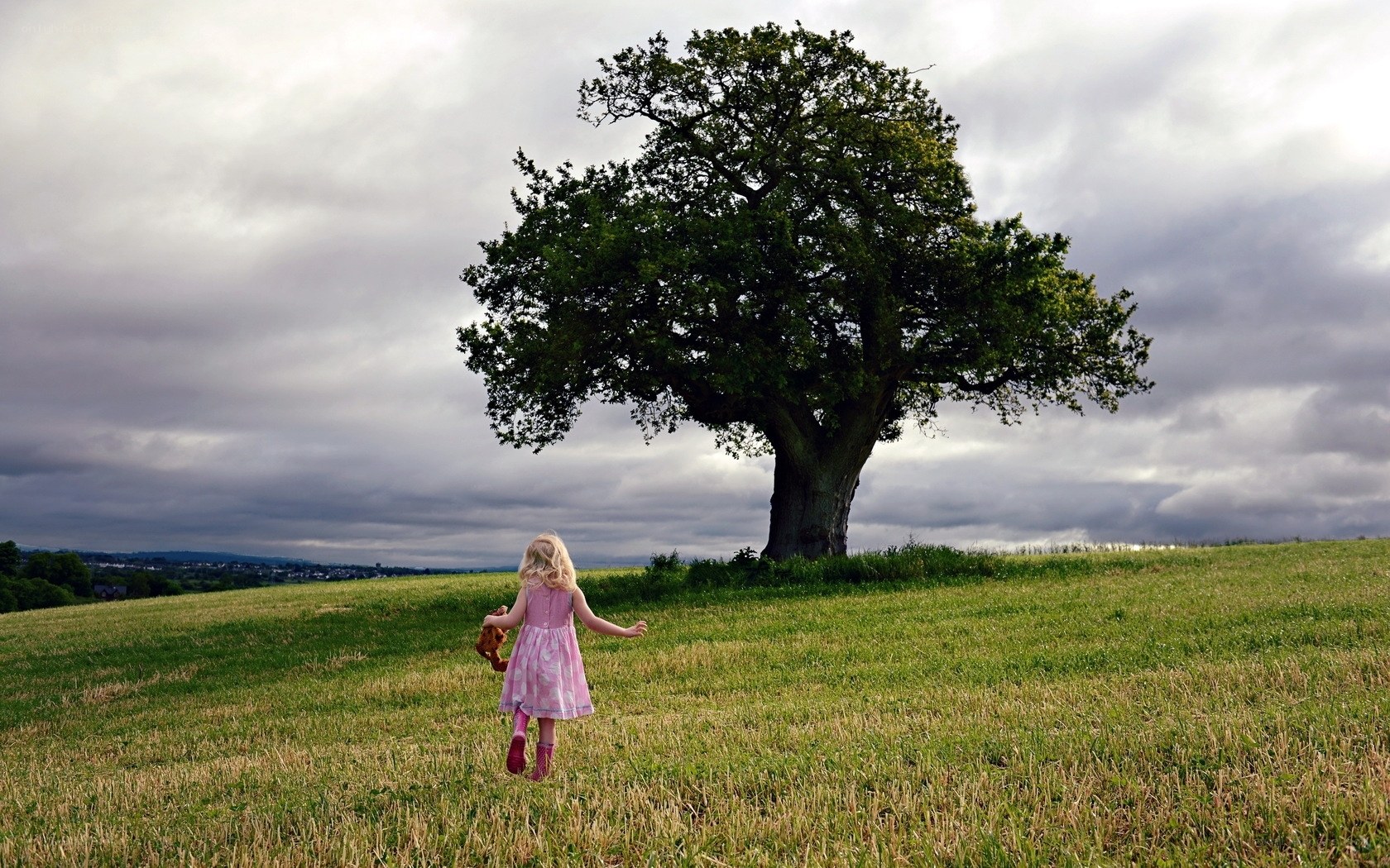 Child walking to a tree