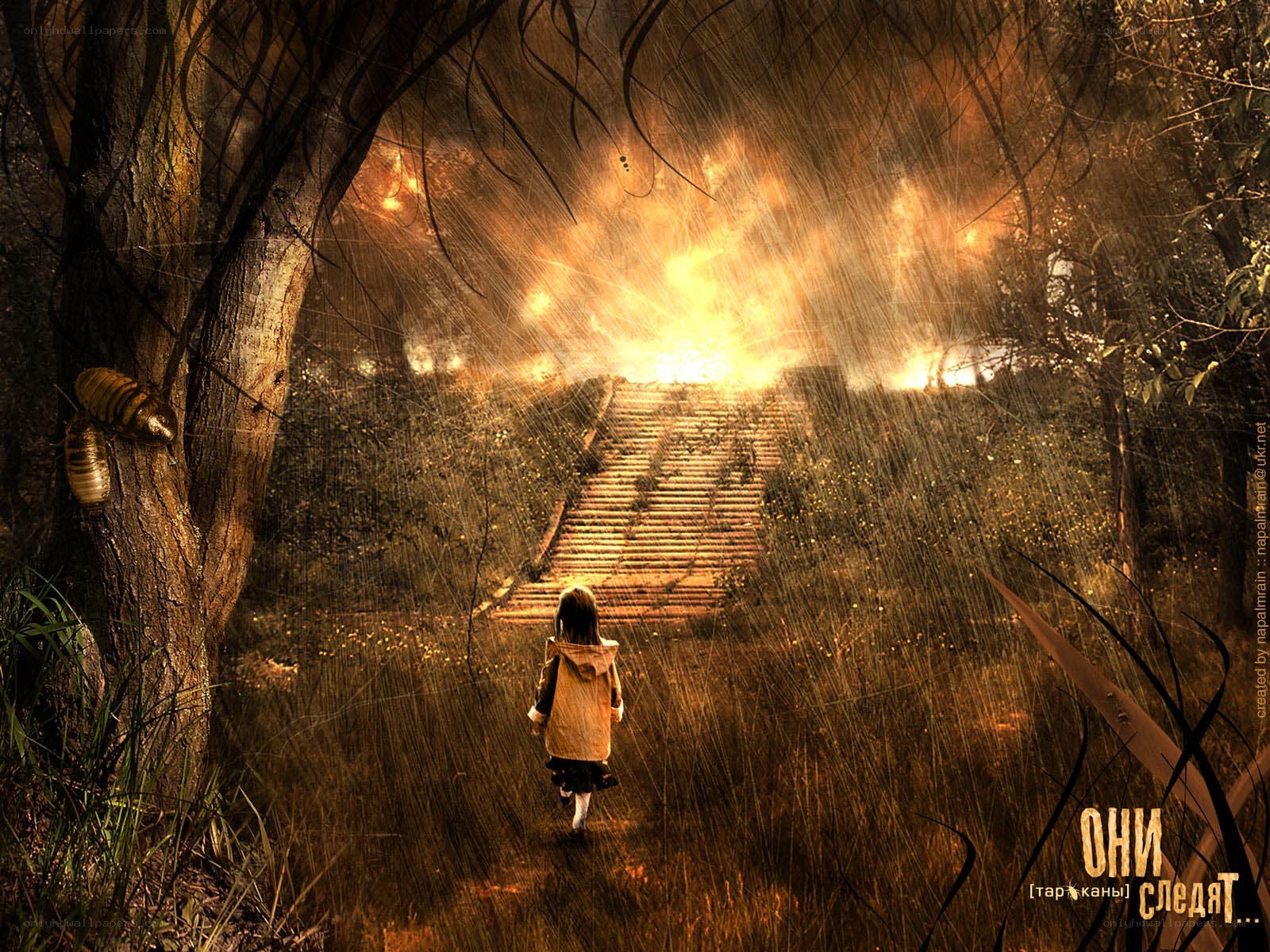 Child walking toward fire in forest