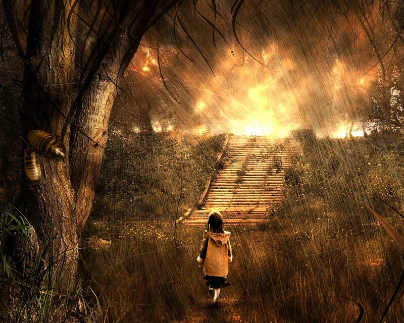 child walking toward fire
