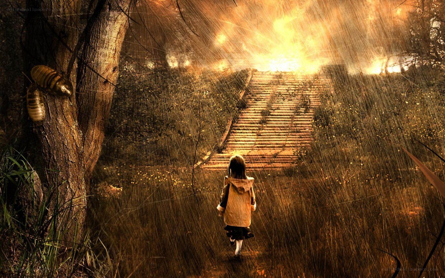 child walking toward light