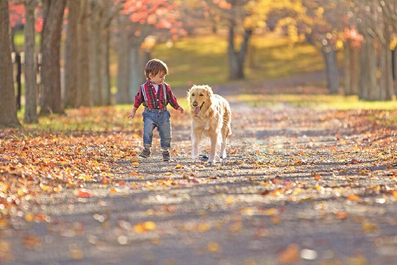 Child Walking with Dog — Brown