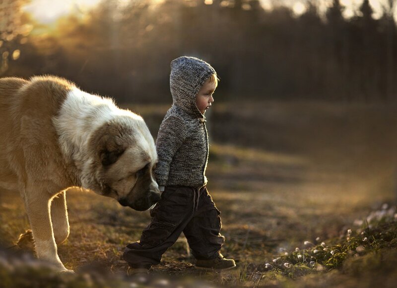 Child Walking with Dog