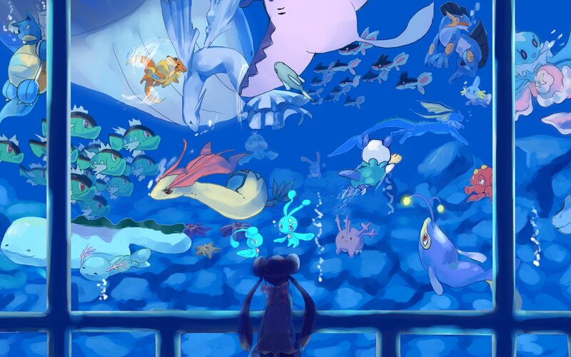 Child Watching Aquarium