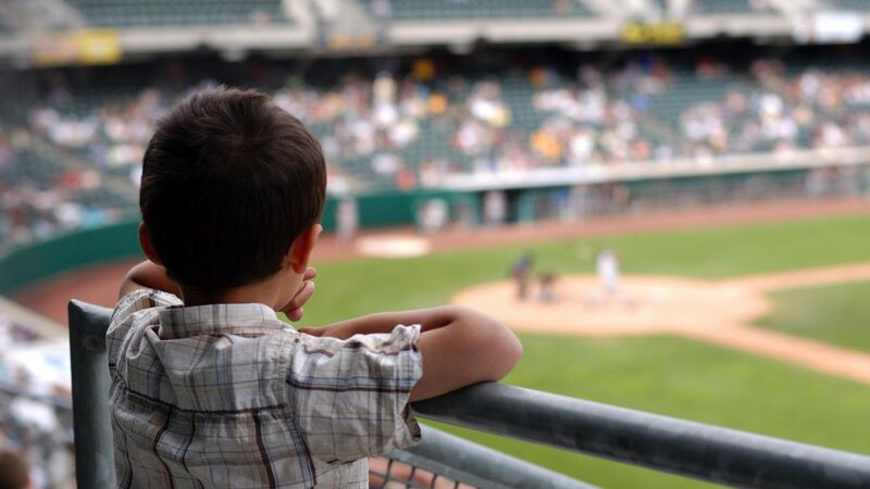 child watching baseball game