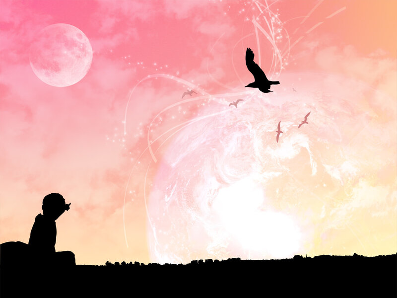 child watching birds at sunset
