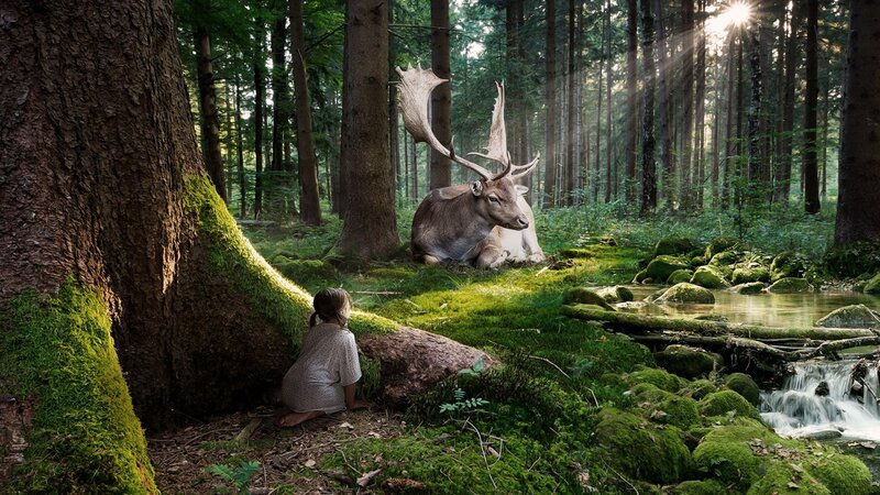 Child Watching Deer