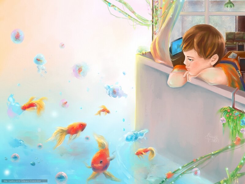 child watching goldfish