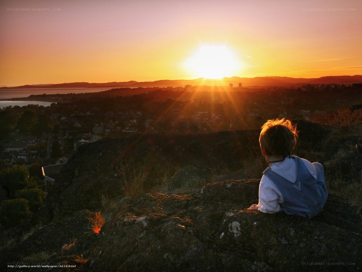 Child watching sunset from hill
