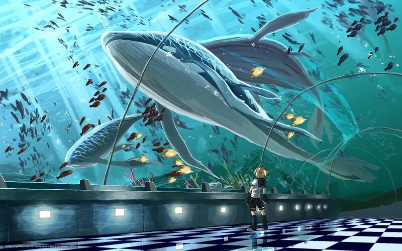 Child watching whales in aquarium