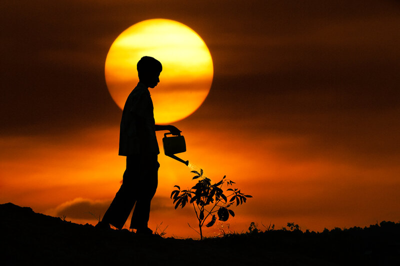 Child Watering Plant
