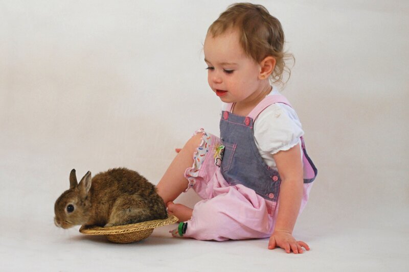 child with a rabbit