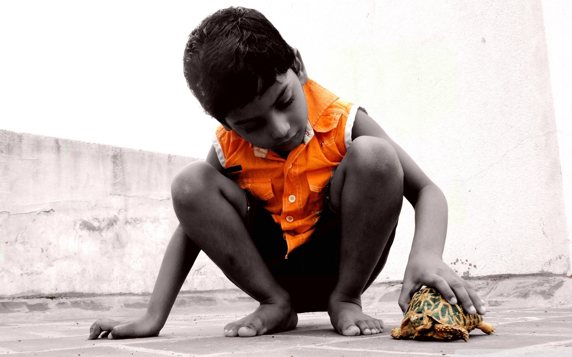 child with a tortoise