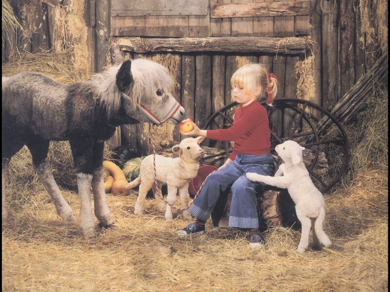 Child with Animals — Brown