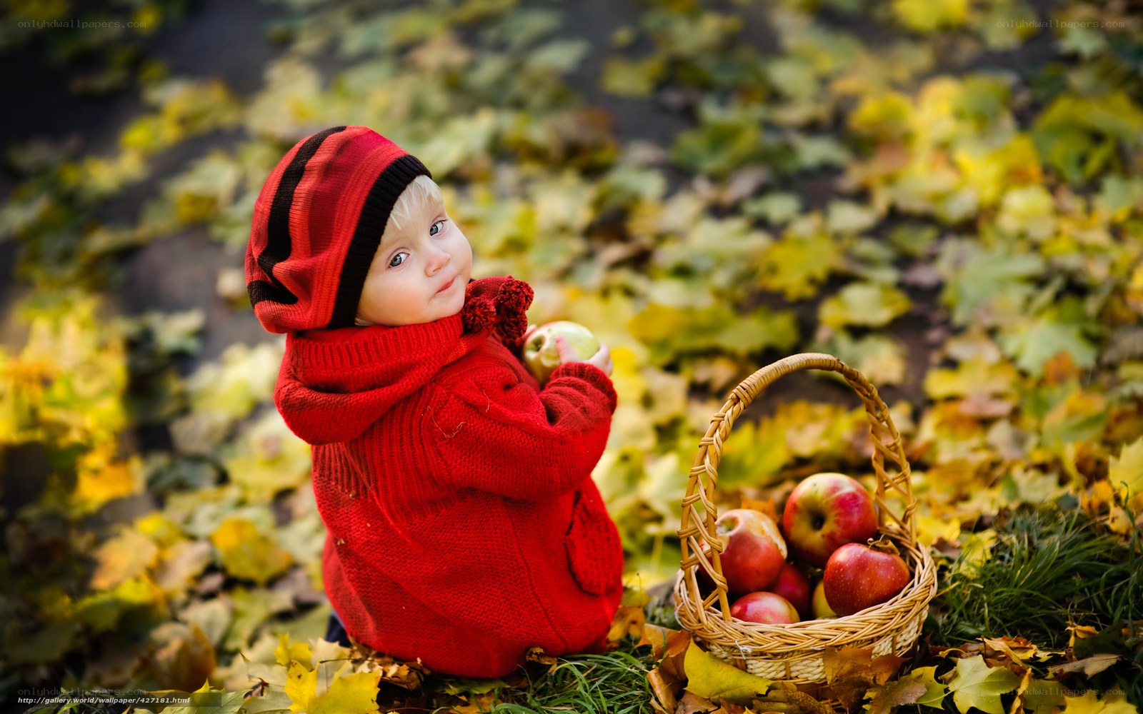 child with apples in autumn