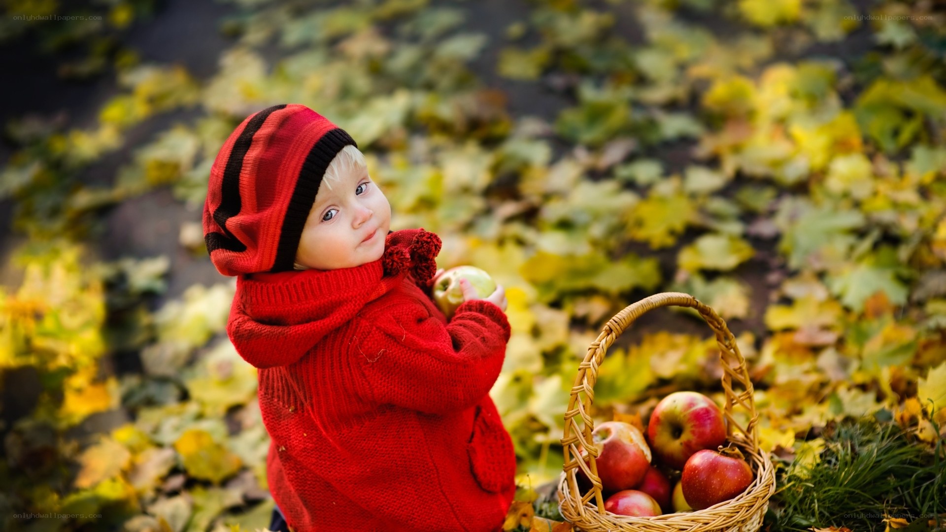 child with apples in autumn