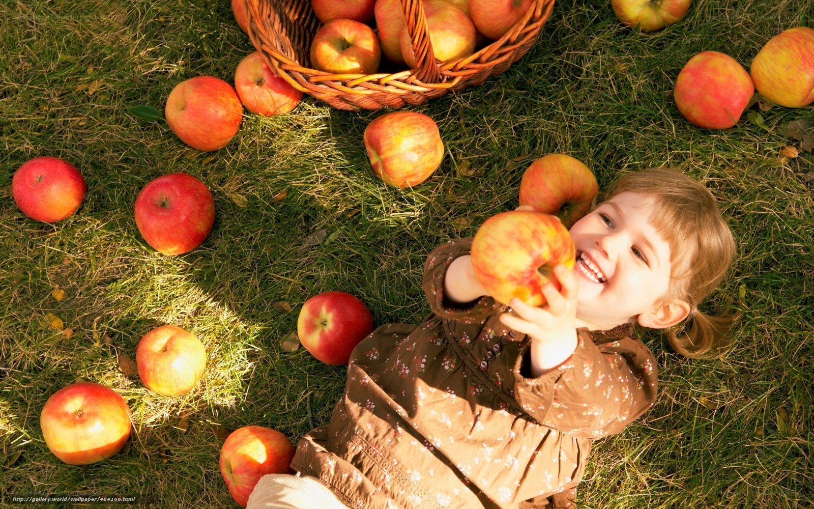 child with apples in grass