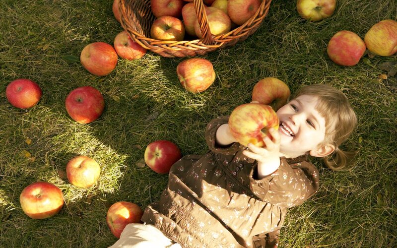 child with apples on grass