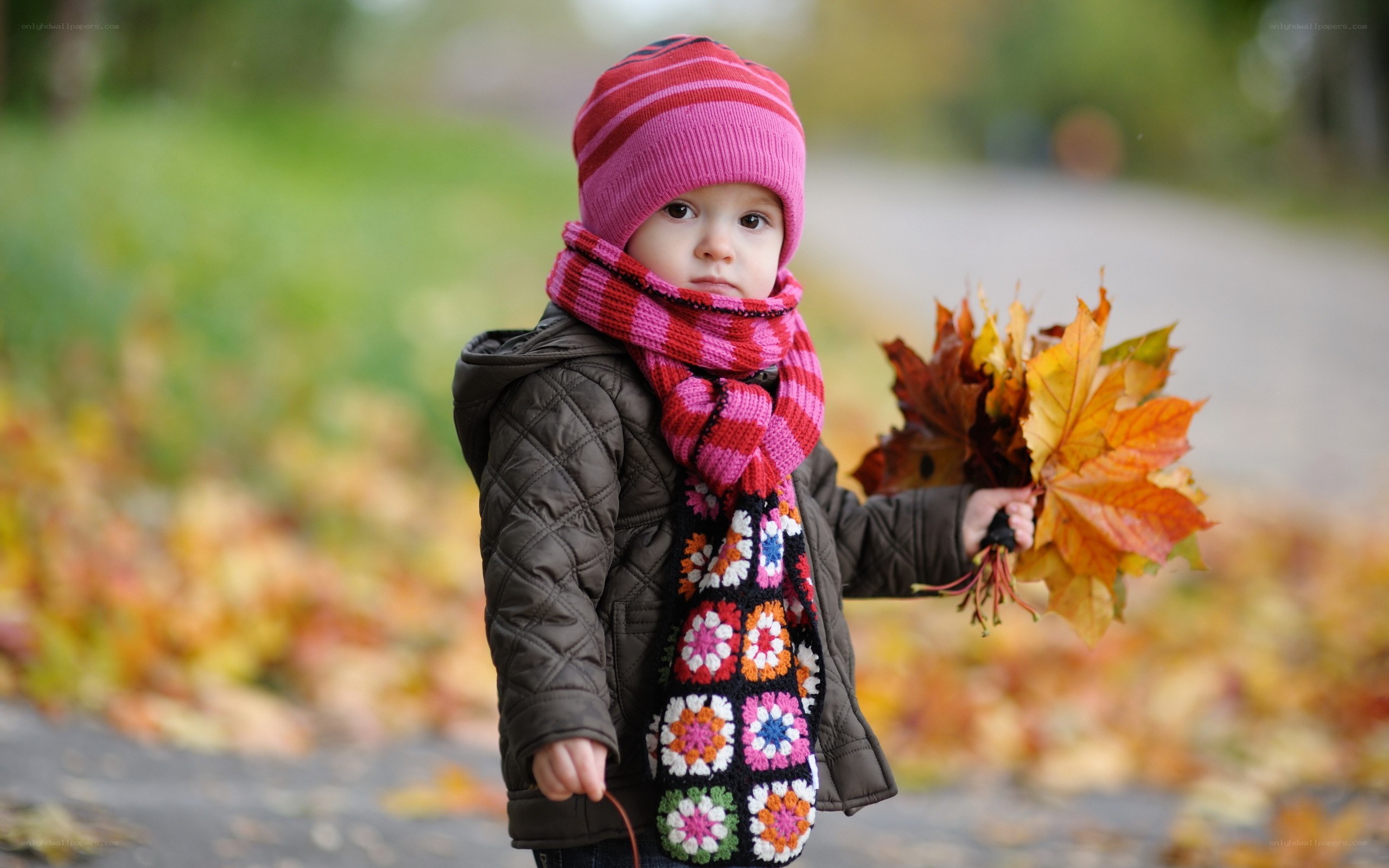 child with autumn leaves