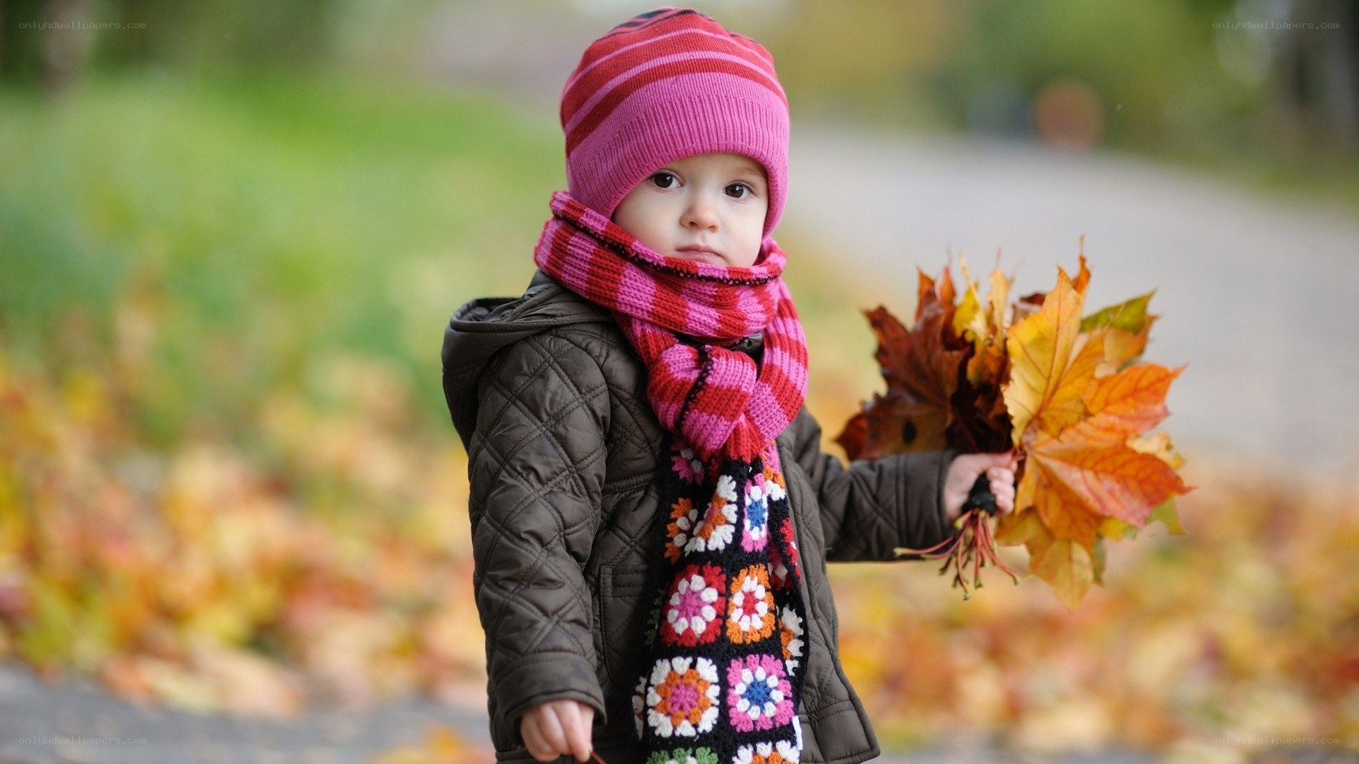 child with autumn leaves