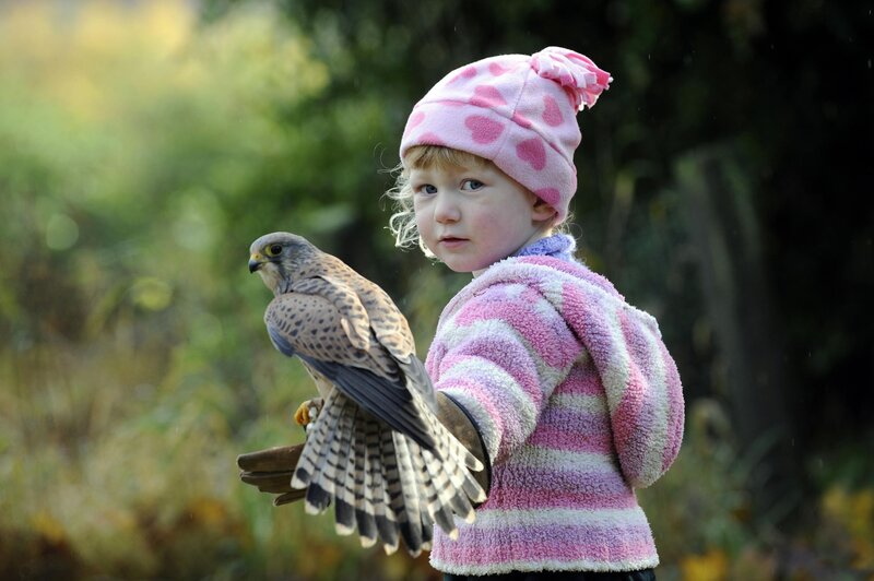 Child with Bird of Prey — Pink