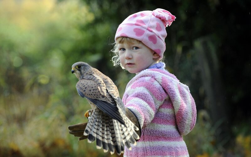 child with bird of prey