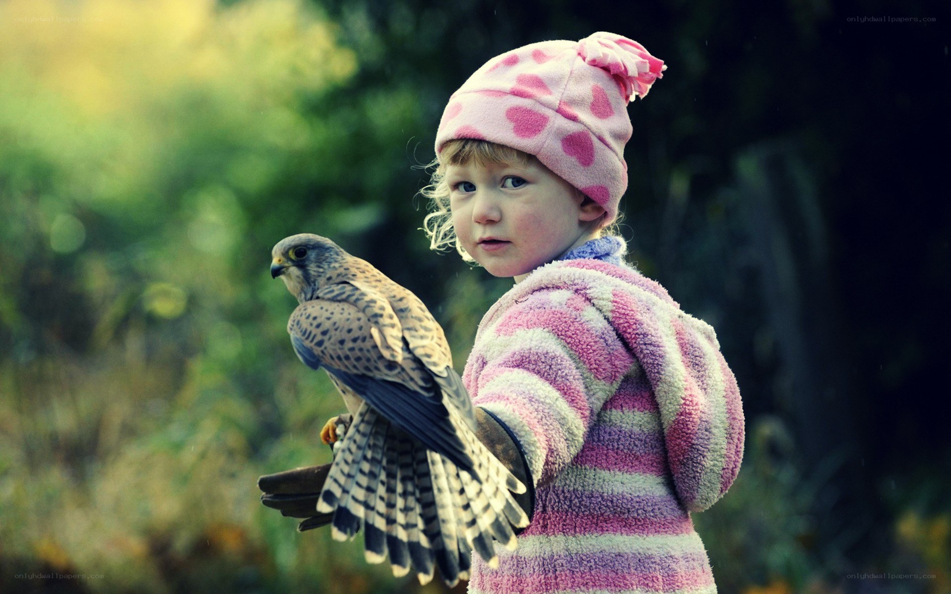 child with bird on glove