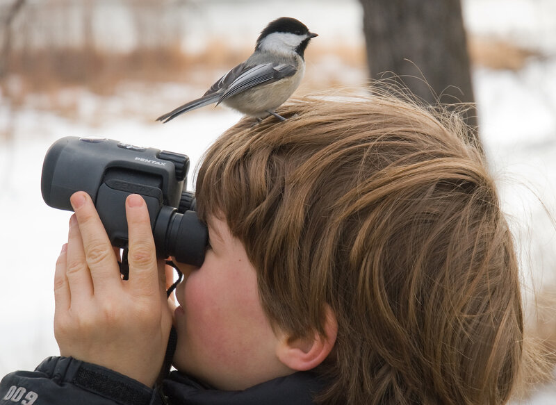 Child with Bird on Head
