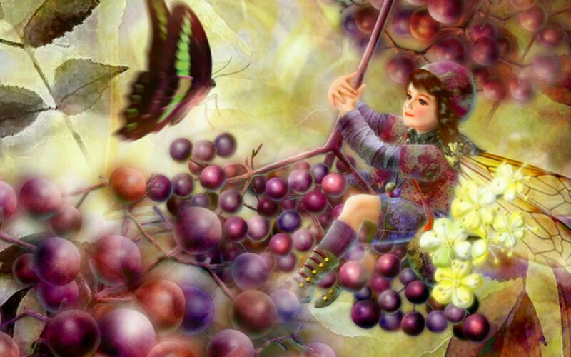 Child with Butterfly Wings — Purple