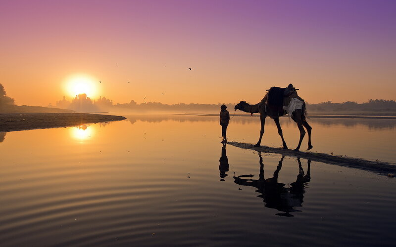 Child with Camel