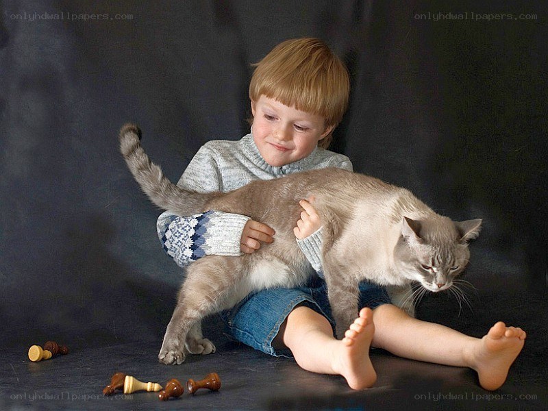 child with cat and chess pieces