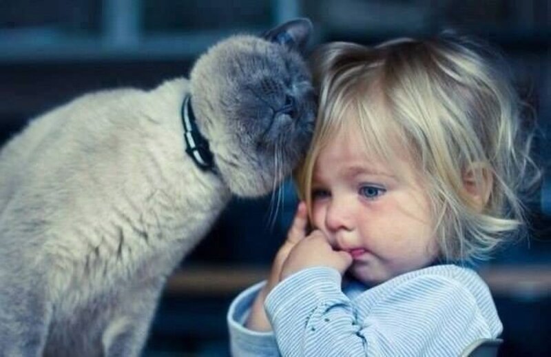 Child with Cat — Gray