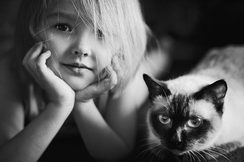 child with cat portrait