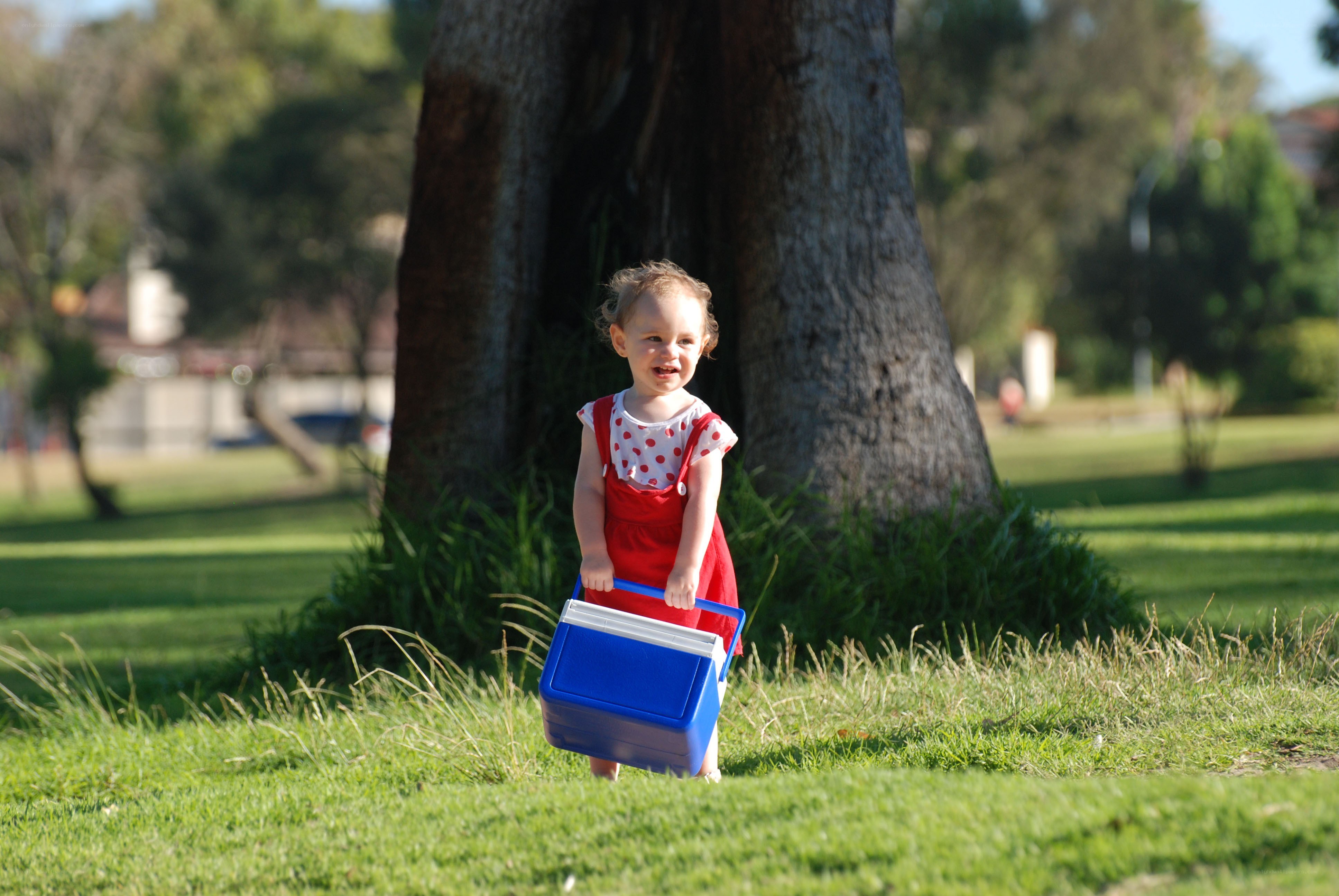 Child with cooler in park