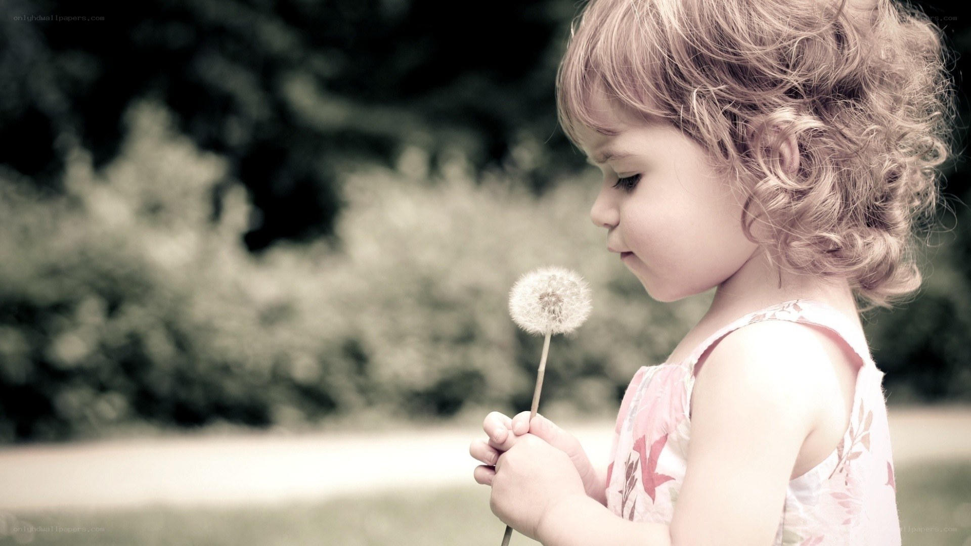 child with dandelion