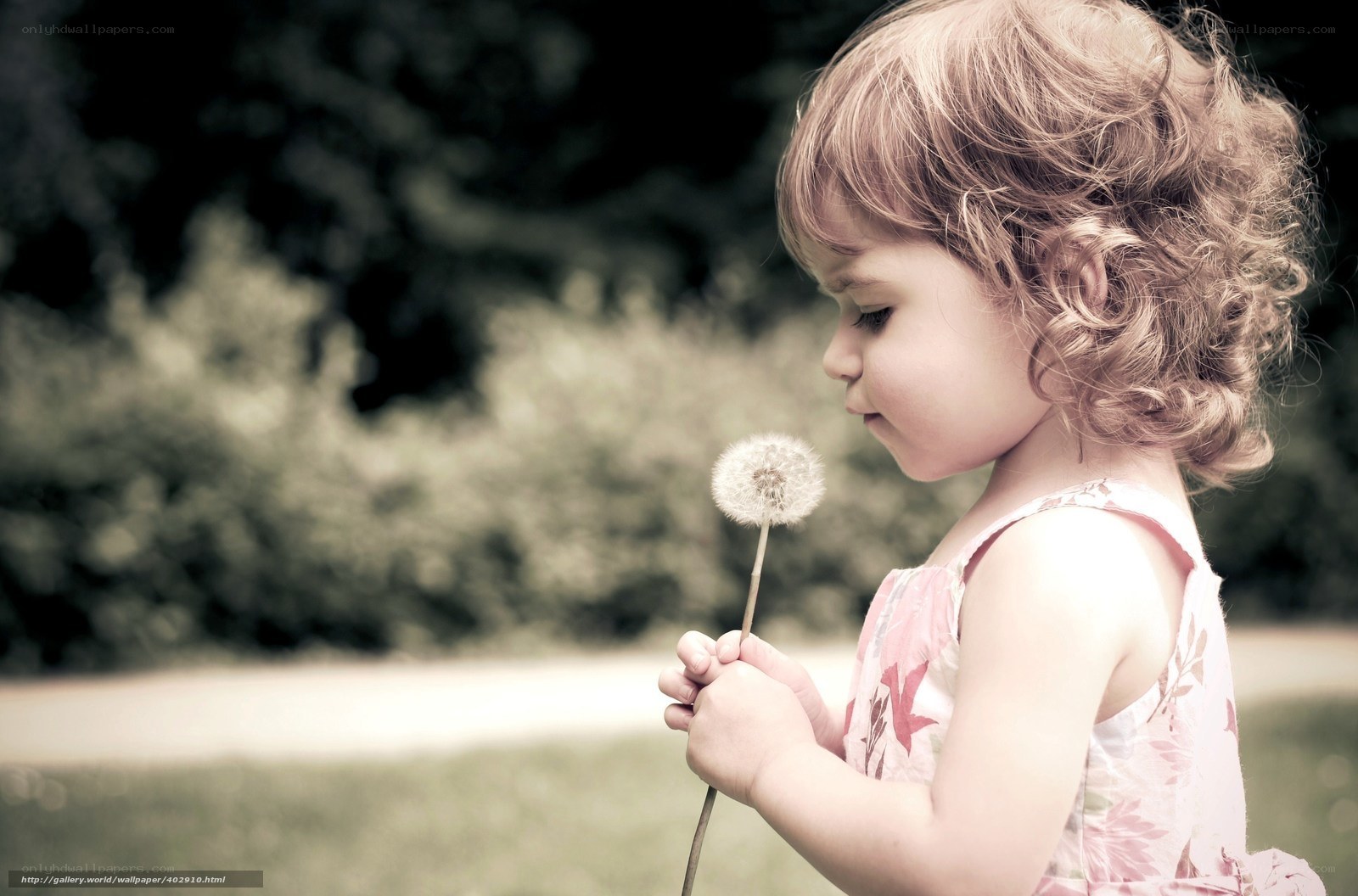 child with dandelion