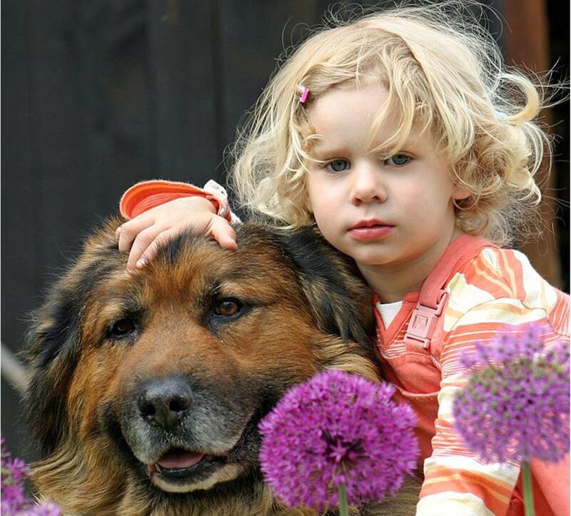 Child with Dog — Brown, Calm