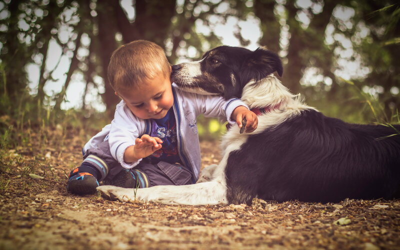 Child with Dog — Brown, Peaceful, Afternoon