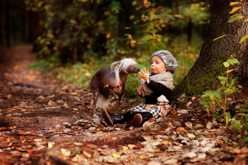 Child with Dog in Forest — Brown