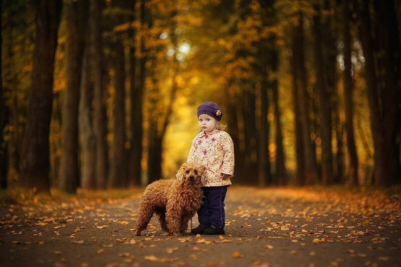 Child with Dog in Forest — Yellow, Serene