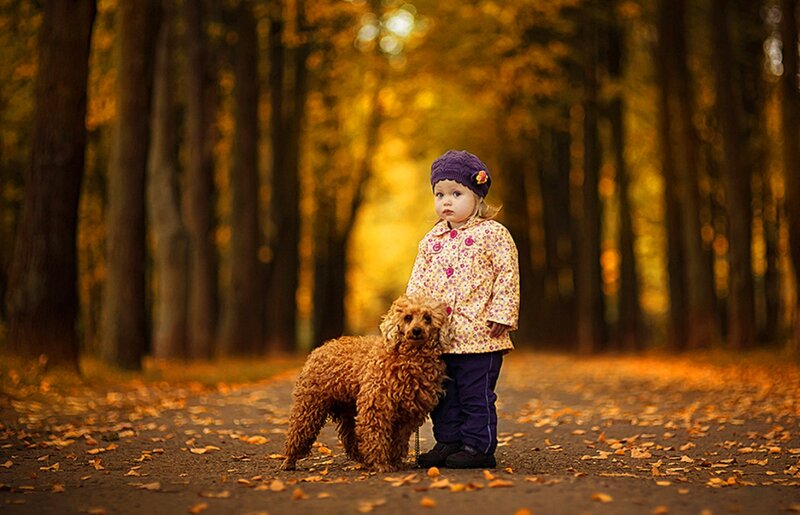 Child with Dog in Forest — Yellow