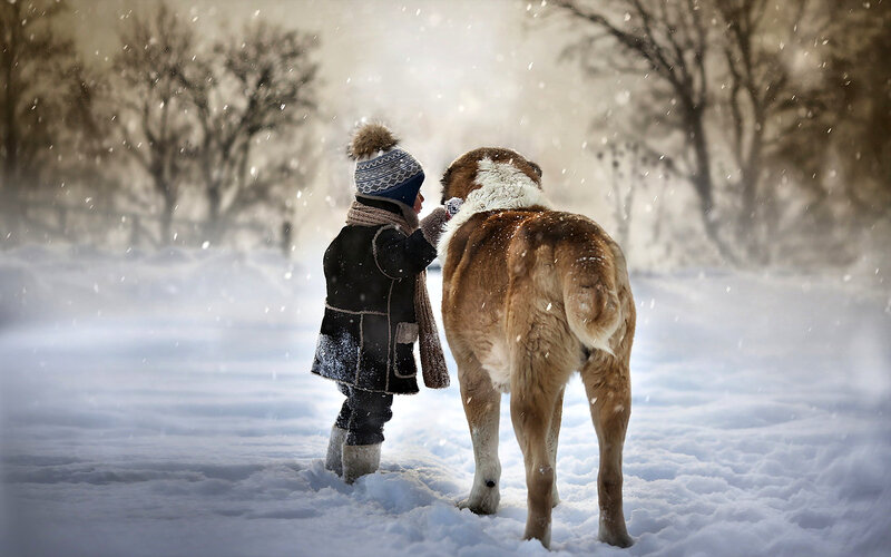 Child with Dog in Snow — White, Serene