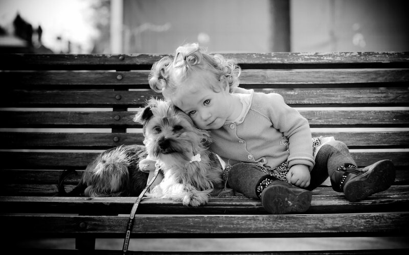 Child with Dog on Bench