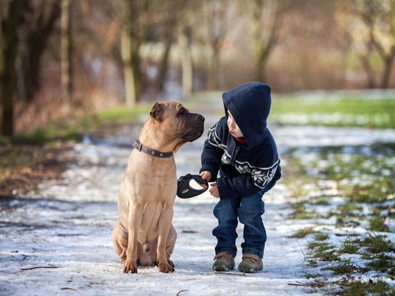 Child with Dog on Path — Brown