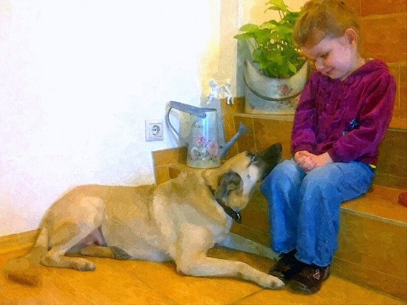 Child with Dog on Stairs